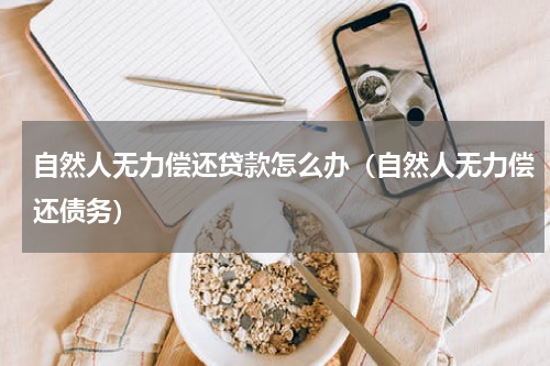 自然人无力偿还贷款怎么办（自然人无力偿还债务）