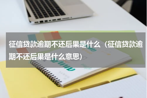 征信贷款逾期不还后果是什么（征信贷款逾期不还后果是什么意思）