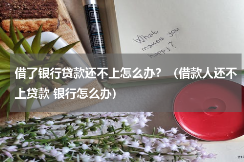 借了银行贷款还不上怎么办？（借款人还不上贷款 银行怎么办）