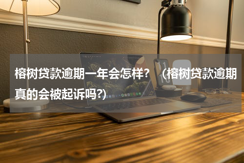 榕树贷款逾期一年会怎样？（榕树贷款逾期真的会被起诉吗?）