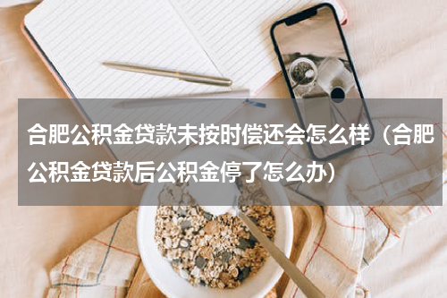 合肥公积金贷款未按时偿还会怎么样（合肥公积金贷款后公积金停了怎么办）