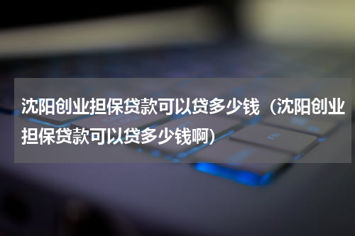 沈阳创业担保贷款可以贷多少钱（沈阳创业担保贷款可以贷多少钱啊）