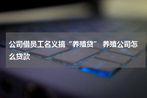 公司借员工名义搞“养殖贷” 养殖公司怎么贷款