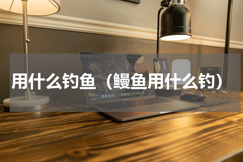 用什么钓鱼（鳗鱼用什么钓）