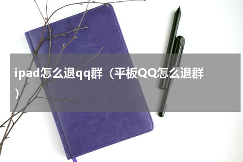 ipad怎么退qq群（平板QQ怎么退群）