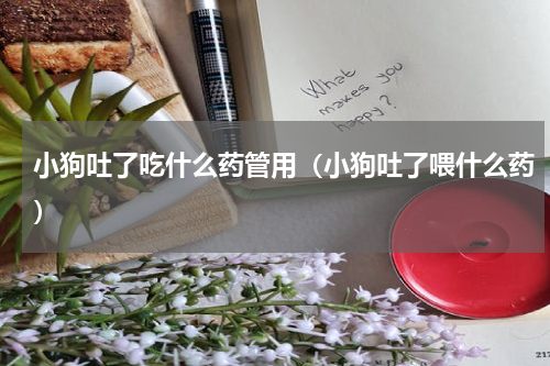 小狗吐了吃什么药管用（小狗吐了喂什么药）
