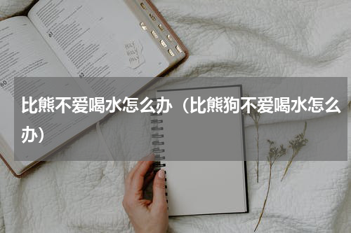 比熊不爱喝水怎么办（比熊狗不爱喝水怎么办）