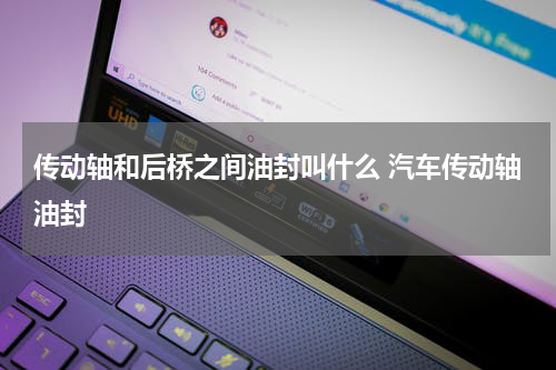 传动轴和后桥之间油封叫什么 汽车传动轴油封