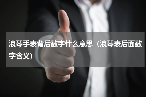浪琴手表背后数字什么意思（浪琴表后面数字含义）