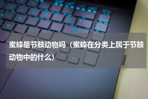 蜜蜂是节肢动物吗（蜜蜂在分类上属于节肢动物中的什么）