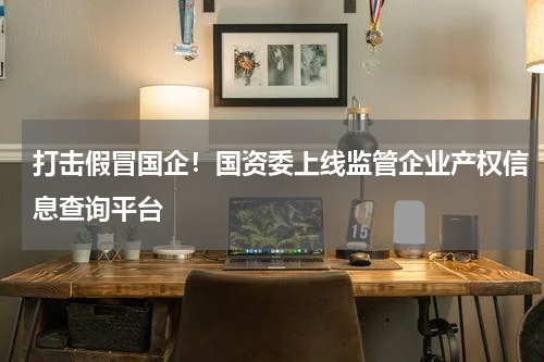 打击假冒国企！国资委上线监管企业产权信息查询平台