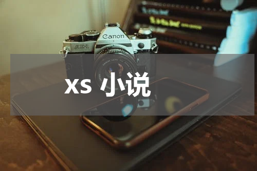 xs正版新书 什么意思