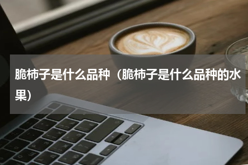 脆柿子是什么品种（脆柿子是什么品种的水果）