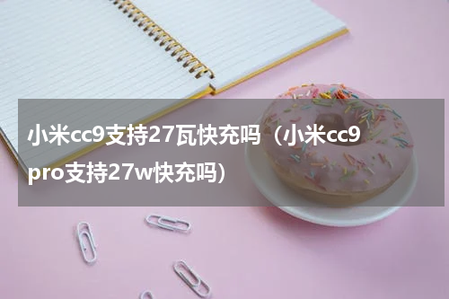 小米cc9支持27瓦快充吗（小米cc9pro支持27w快充吗）