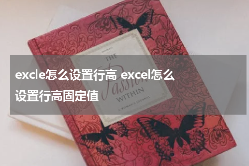 excle怎么设置行高 excel怎么设置行高固定值
