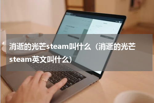消逝的光芒steam叫什么（消逝的光芒steam英文叫什么）