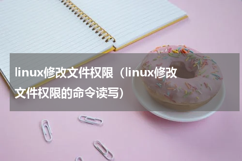 linux修改文件权限（linux修改文件权限的命令读写）