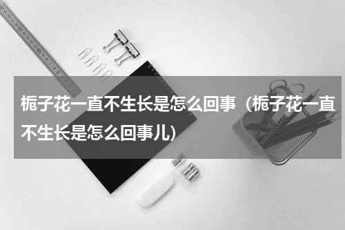 栀子花一直不生长是怎么回事（栀子花一直不生长是怎么回事儿）
