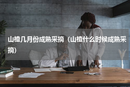 山楂几月份成熟采摘（山楂什么时候成熟采摘）