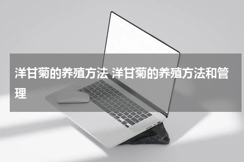 洋甘菊的养殖方法 洋甘菊的养殖方法和管理