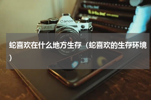 蛇喜欢在什么地方生存（蛇喜欢的生存环境）