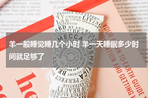 羊一般睡觉睡几个小时 羊一天睡眠多少时间就足够了