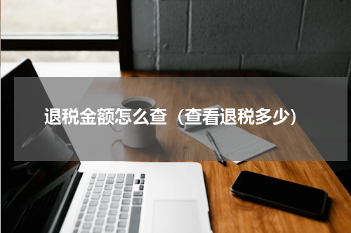 退税金额怎么查（查看退税多少）