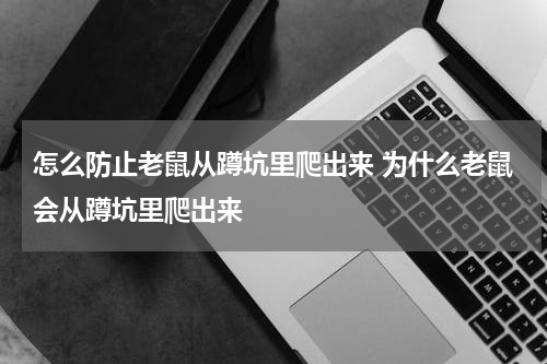 怎么防止老鼠从蹲坑里爬出来 为什么老鼠会从蹲坑里爬出来