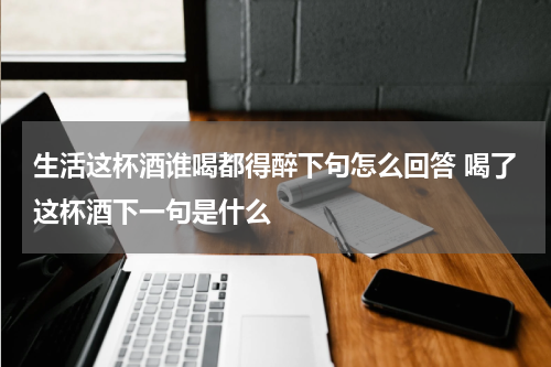 生活这杯酒谁喝都得醉下句怎么回答 喝了这杯酒下一句是什么