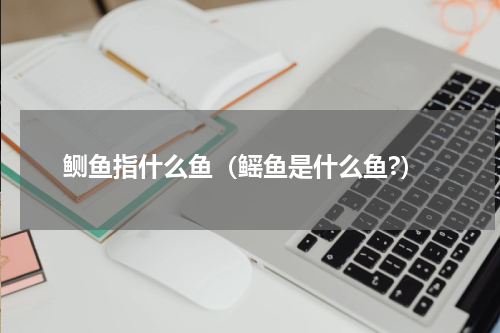 鲗鱼指什么鱼（鳐鱼是什么鱼?）