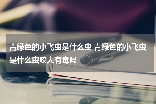 青绿色的小飞虫是什么虫 青绿色的小飞虫是什么虫咬人有毒吗