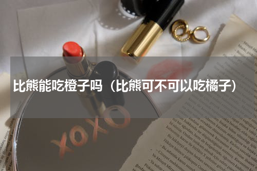 比熊能吃橙子吗（比熊可不可以吃橘子）
