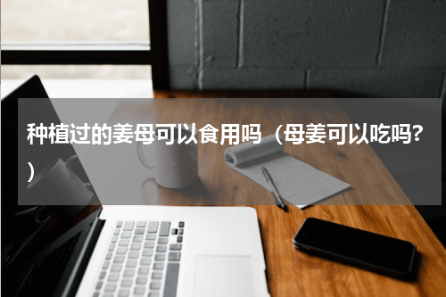 种植过的姜母可以食用吗（母姜可以吃吗?）