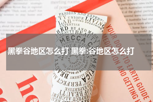 黑拳谷地区怎么打 黑拳:谷地区怎么打