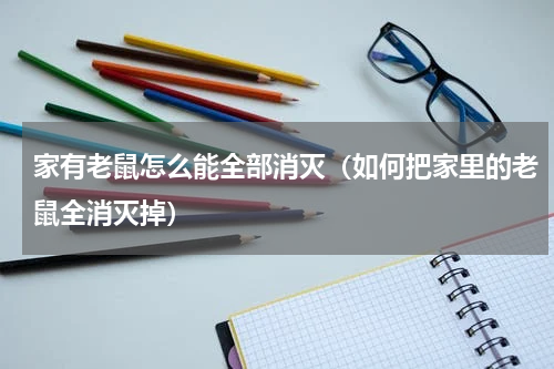 家有老鼠怎么能全部消灭（如何把家里的老鼠全消灭掉）