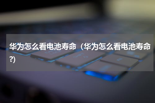 华为怎么看电池寿命（华为怎么看电池寿命?）