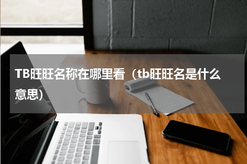 TB旺旺名称在哪里看（tb旺旺名是什么意思）