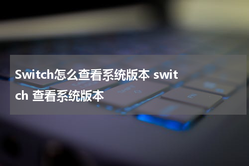 Switch怎么查看系统版本 switch 查看系统版本