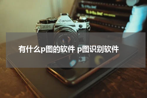 有什么p图的软件 p图识别软件