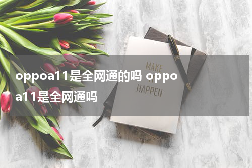 oppoa11是全网通的吗 oppo a11是全网通吗