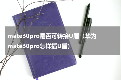 mate30pro是否可转接U盾（华为mate30pro怎样插U盾）