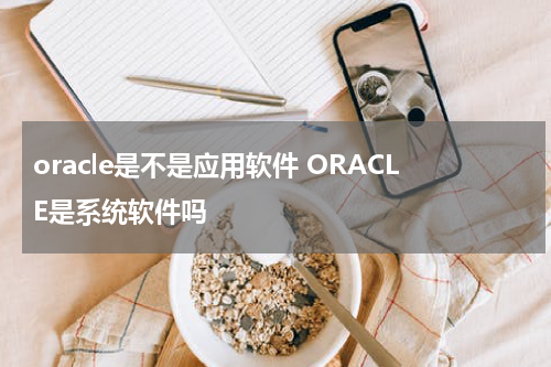 oracle是不是应用软件 ORACLE是系统软件吗