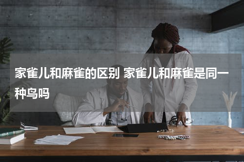 家雀儿和麻雀的区别 家雀儿和麻雀是同一种鸟吗