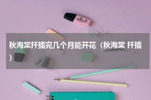 秋海棠扦插完几个月能开花（秋海棠 扦插）