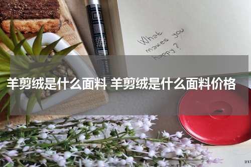 羊剪绒是什么面料 羊剪绒是什么面料价格