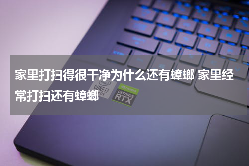 家里打扫得很干净为什么还有蟑螂 家里经常打扫还有蟑螂