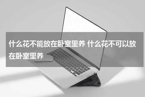 什么花不能放在卧室里养 什么花不可以放在卧室里养