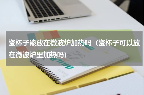 瓷杯子能放在微波炉加热吗（瓷杯子可以放在微波炉里加热吗）
