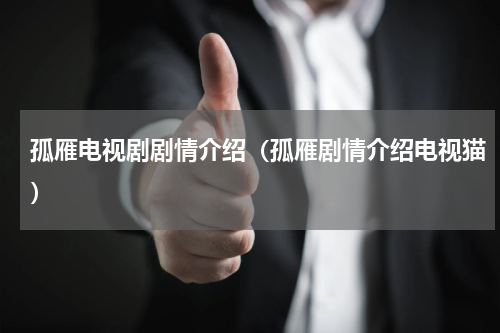 孤雁电视剧剧情介绍（孤雁剧情介绍电视猫）