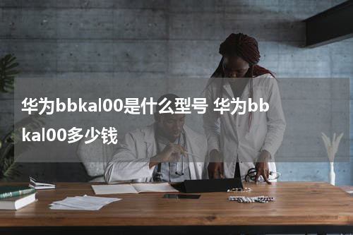 华为bbkal00是什么型号 华为bbkal00多少钱